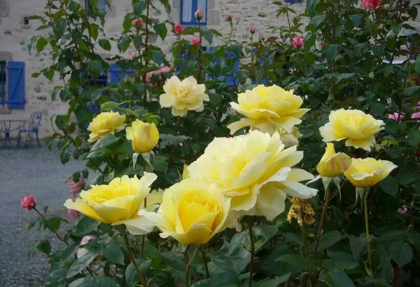 ベッドアンドブレックファースト La Petite Vallee