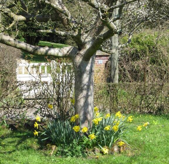 Bed and Breakfast La Roseraie Du Prieure