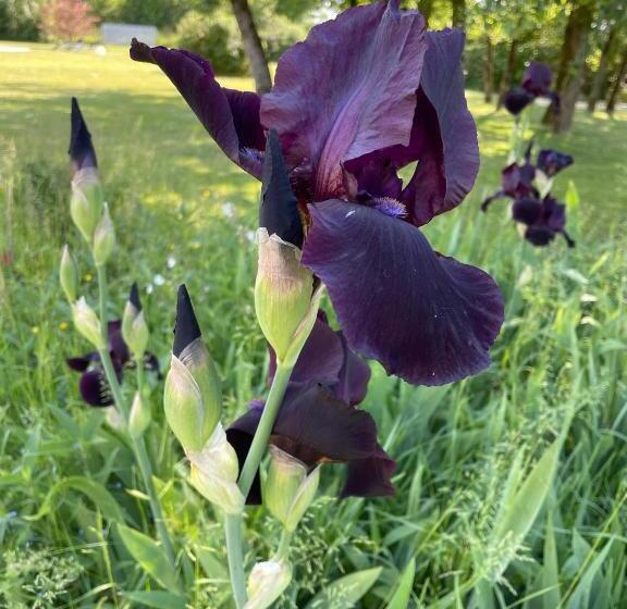 مبيت وإفطار Le Clos Du Plantis