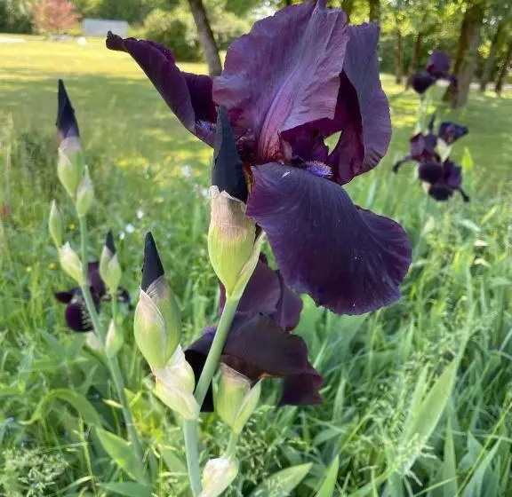 Aamiaismajoitus (B&B) Le Clos Du Plantis