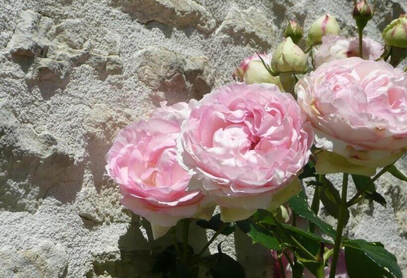 مبيت وإفطار Le Clos Du Plantis