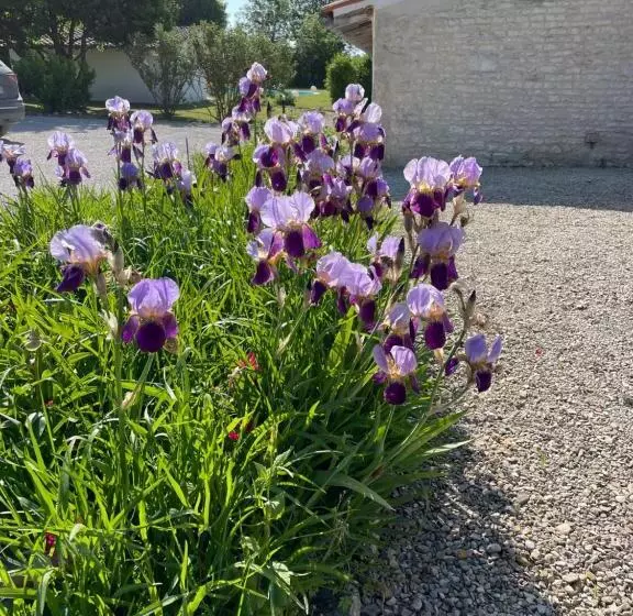 Aamiaismajoitus (B&B) Le Clos Du Plantis