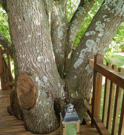 ベッドアンドブレックファースト Les Cabanes De Gros Bois