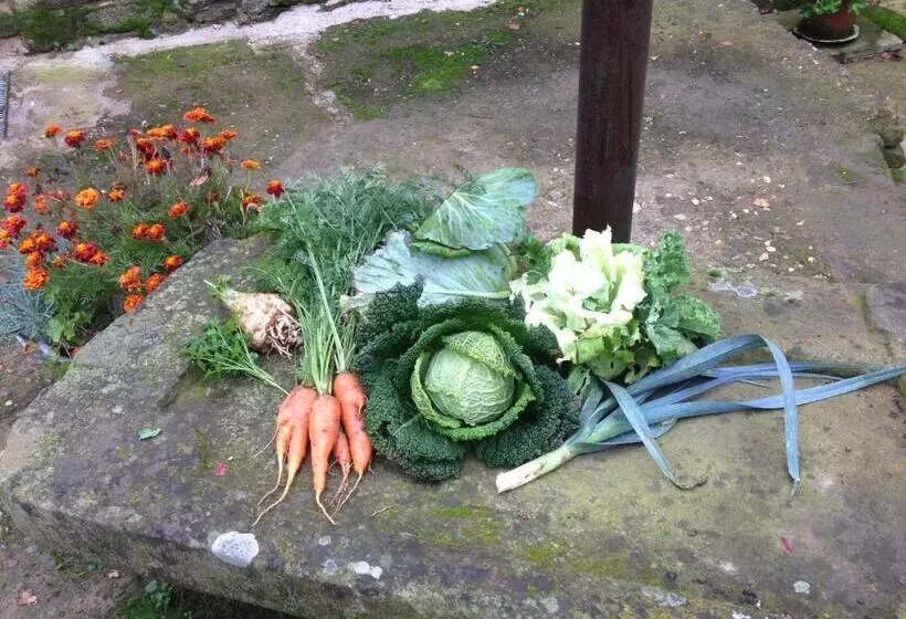 Aamiaismajoitus (B&B) Les Chambres D Hotes De Laurette