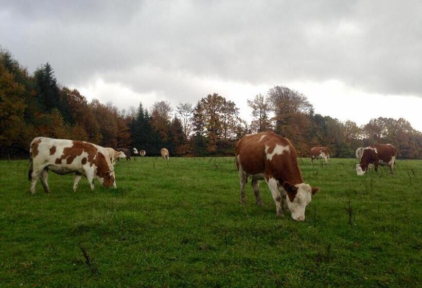 住宿加早餐  Les Chambres D Hotes De Laurette