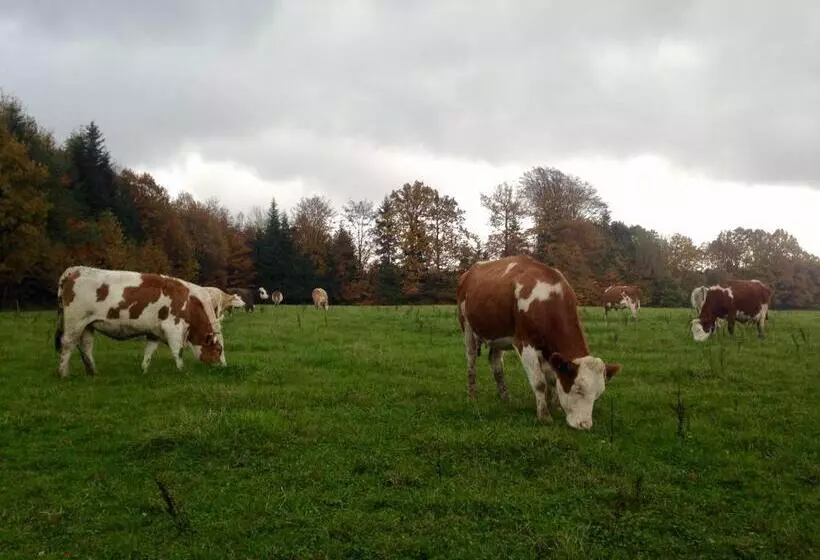 Aamiaismajoitus (B&B) Les Chambres D Hotes De Laurette