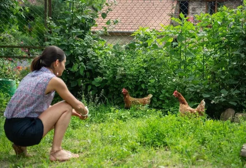 Aamiaismajoitus (B&B) Les Chambres D Hotes De Laurette