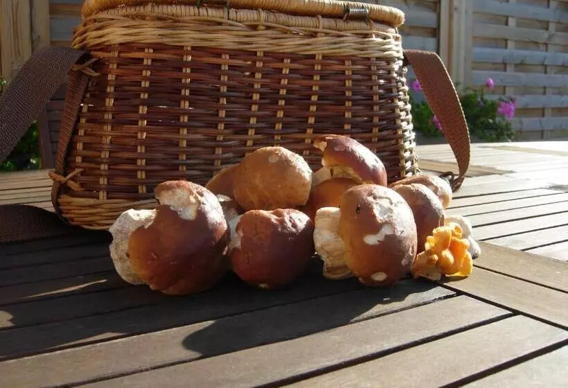 Aamiaismajoitus (B&B) Les Grands Prés