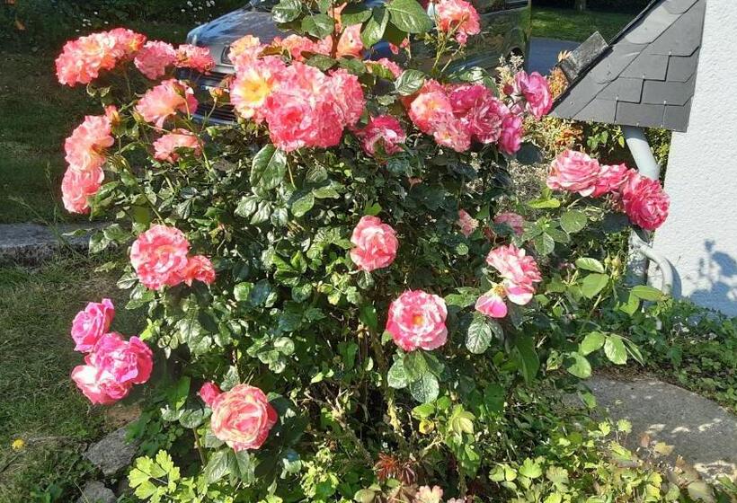 住宿加早餐 Ty Eflenn