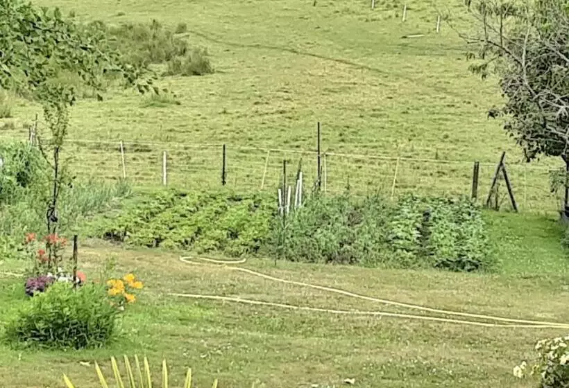 Aamiaismajoitus (B&B) Ty Eflenn