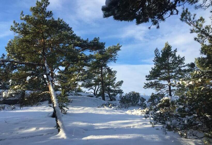 住宿加早餐 Villa Högbo