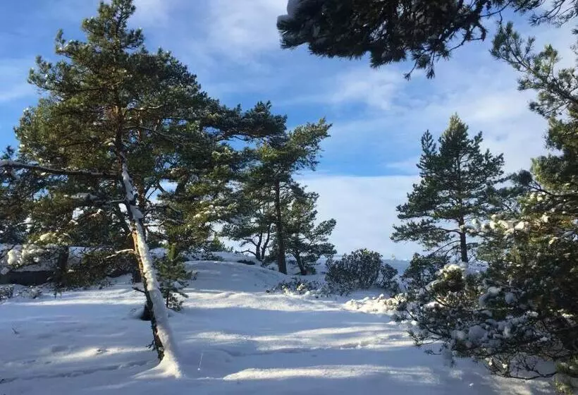 Aamiaismajoitus (B&B) Villa Högbo