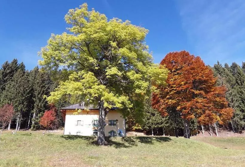 Chalet Musiera
