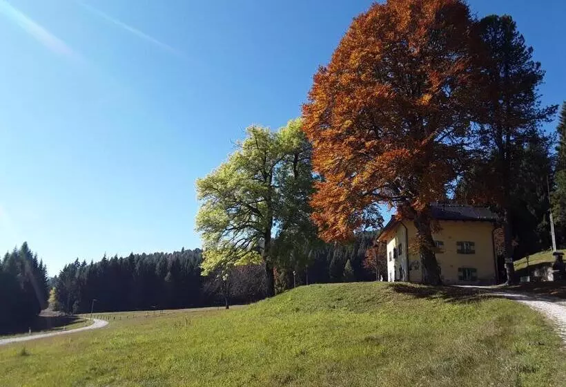 Chalet Musiera