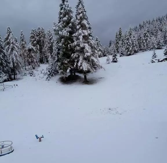 Chalet Musiera