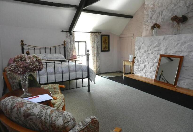 Cilwen Country House Bed And Breakfast