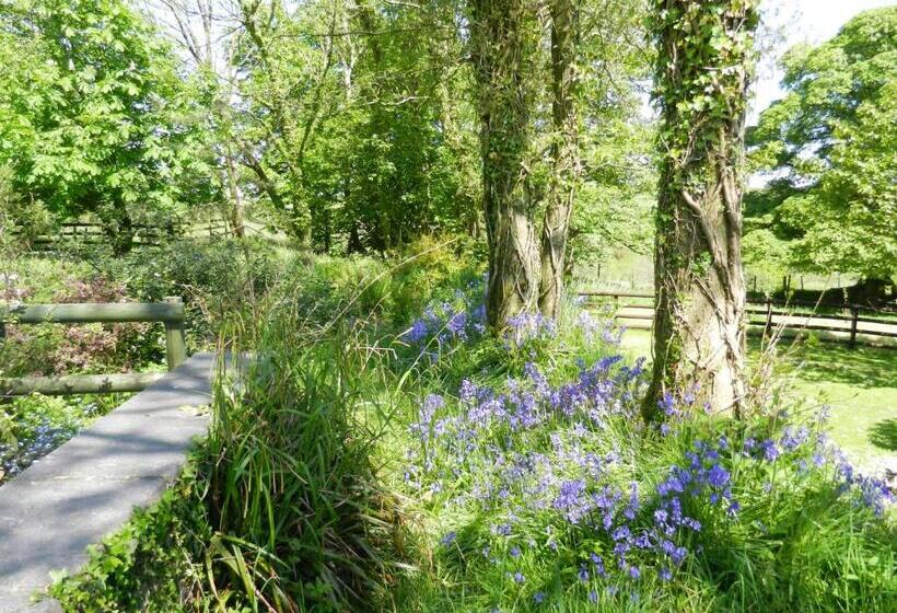 Cilwen Country House Bed And Breakfast