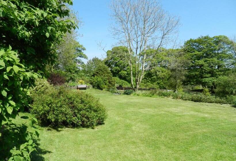 Cilwen Country House Bed And Breakfast