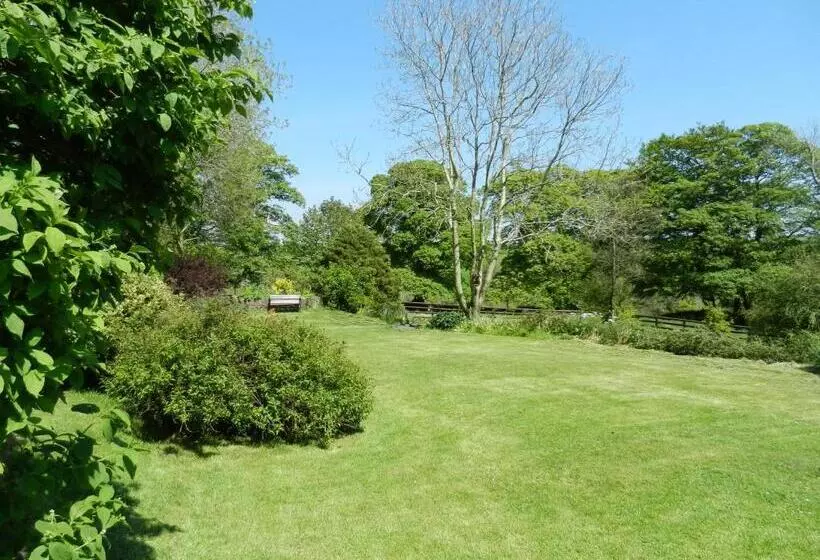 Cilwen Country House Bed And Breakfast