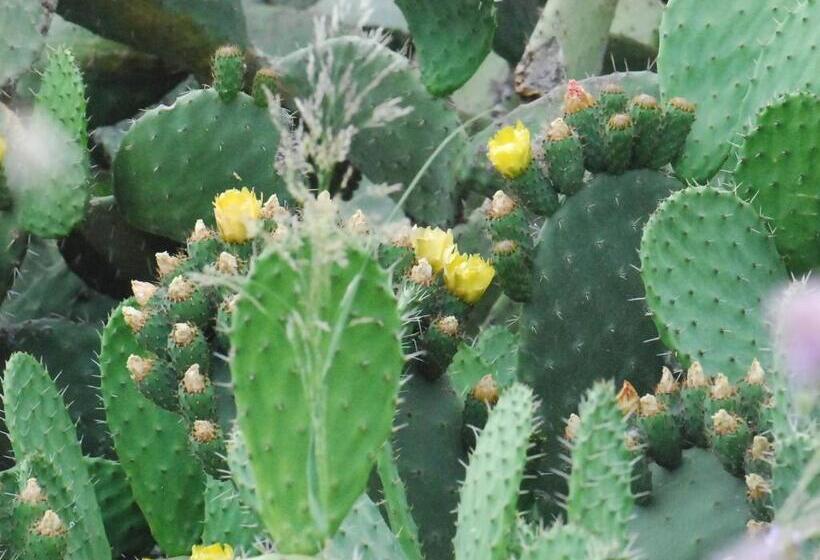 Otel Agriturismo  A Lanterna