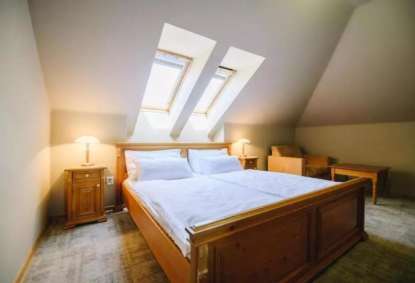 ホテル Kounický Dvůr