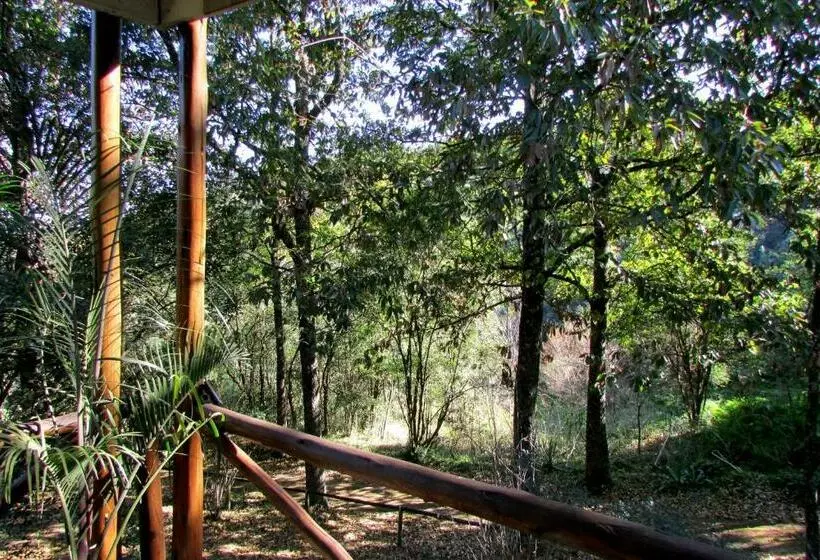 ホテル Old Pine Cabin Karkloof