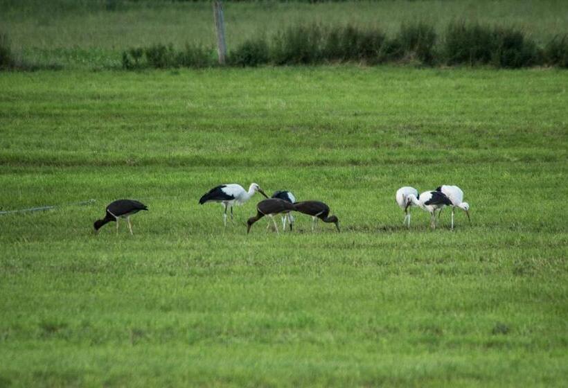 בית מלון כפרי Steigmatt Bauernhof Erlebnis