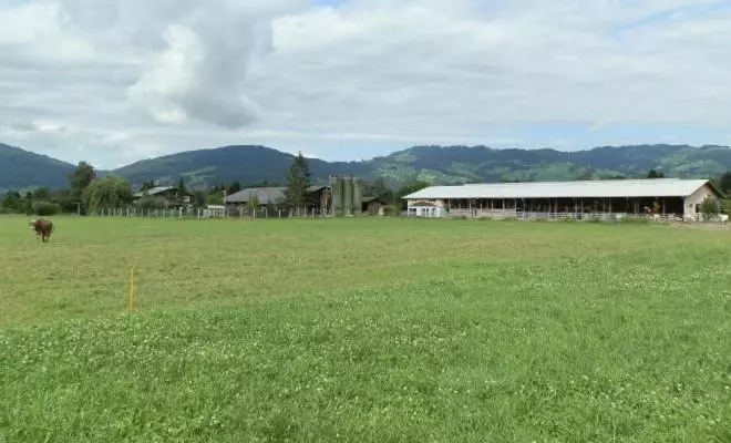 Hotelli Steigmatt Bauernhof Erlebnis