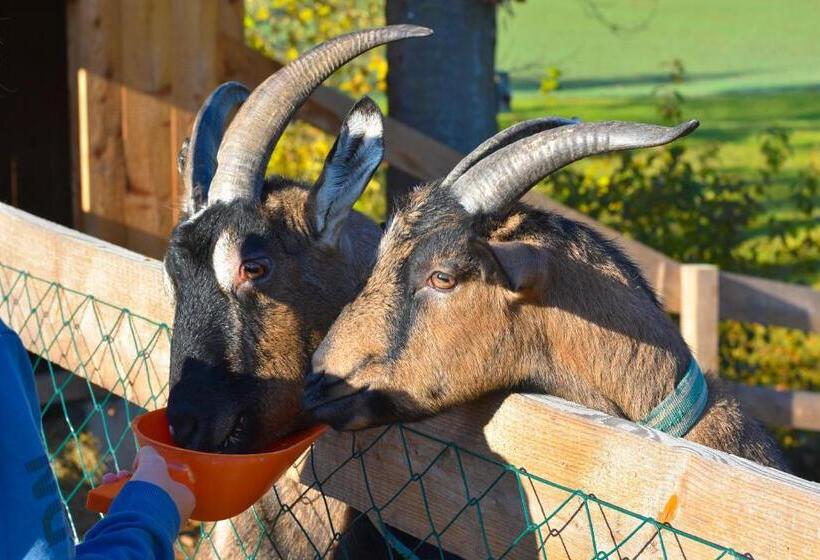 酒店 Straußenhof Halmer