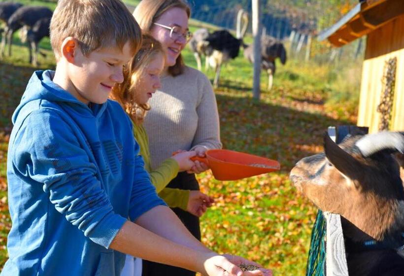 酒店 Straußenhof Halmer