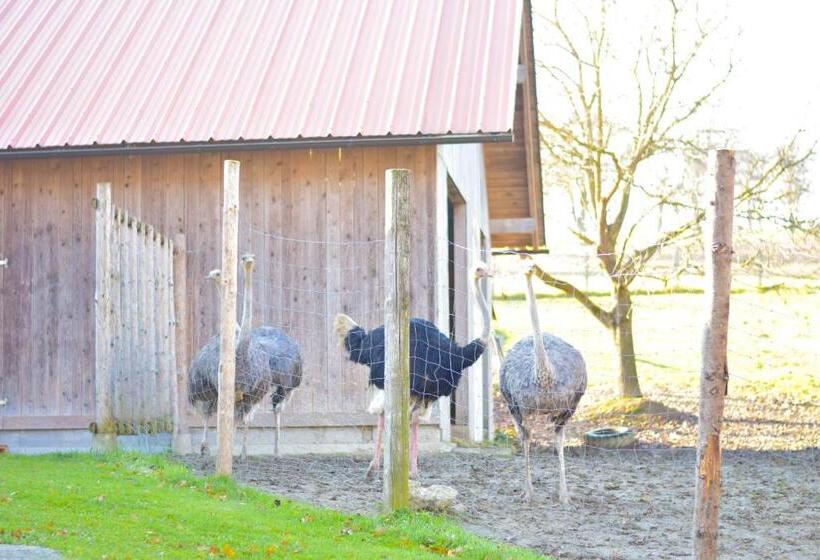 酒店 Straußenhof Halmer