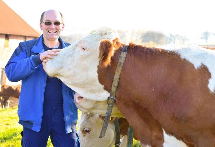 酒店 Straußenhof Halmer