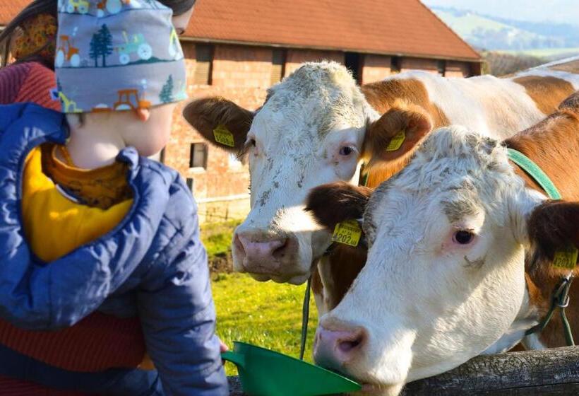 酒店 Straußenhof Halmer