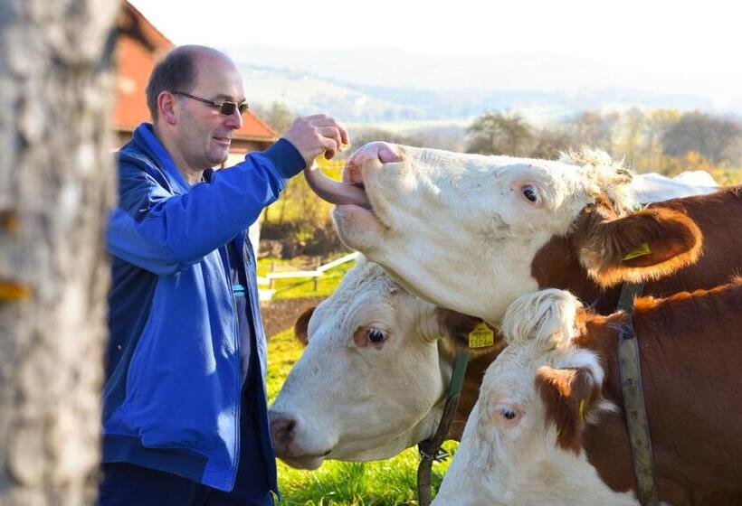 酒店 Straußenhof Halmer