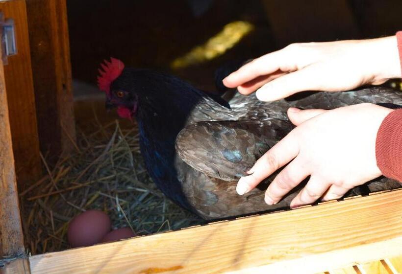 酒店 Straußenhof Halmer