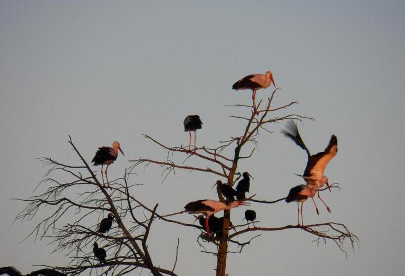 호텔 Suikerbosskuur Rondavel & Chalet