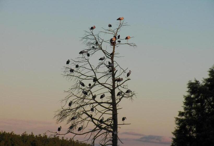 호텔 Suikerbosskuur Rondavel & Chalet