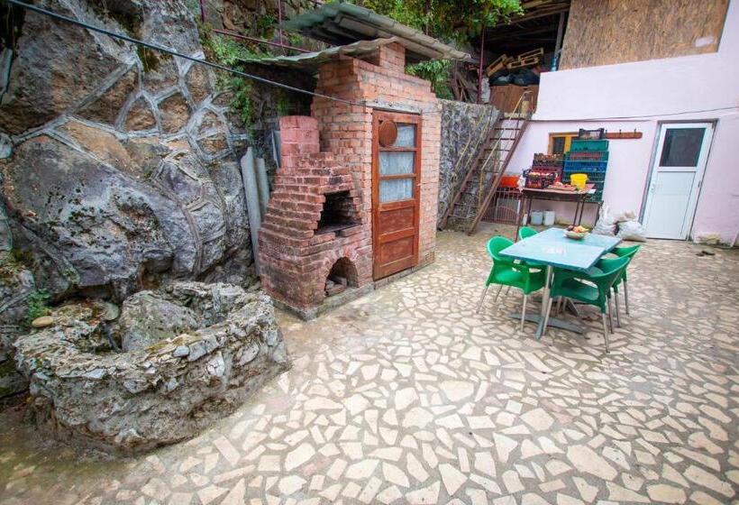 Пансион Casa Albă