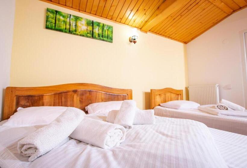 Пансион Casa Albă