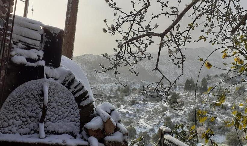 פנסיון Hatzikyprianou Museum Studio