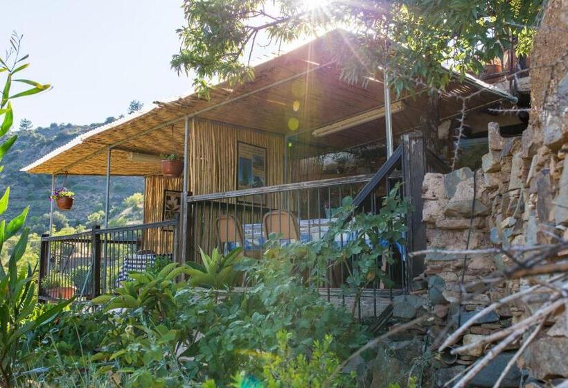 פנסיון Hatzikyprianou Museum Studio