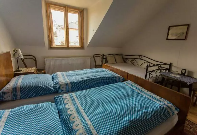 Majatalo Penzion Ctrnactka