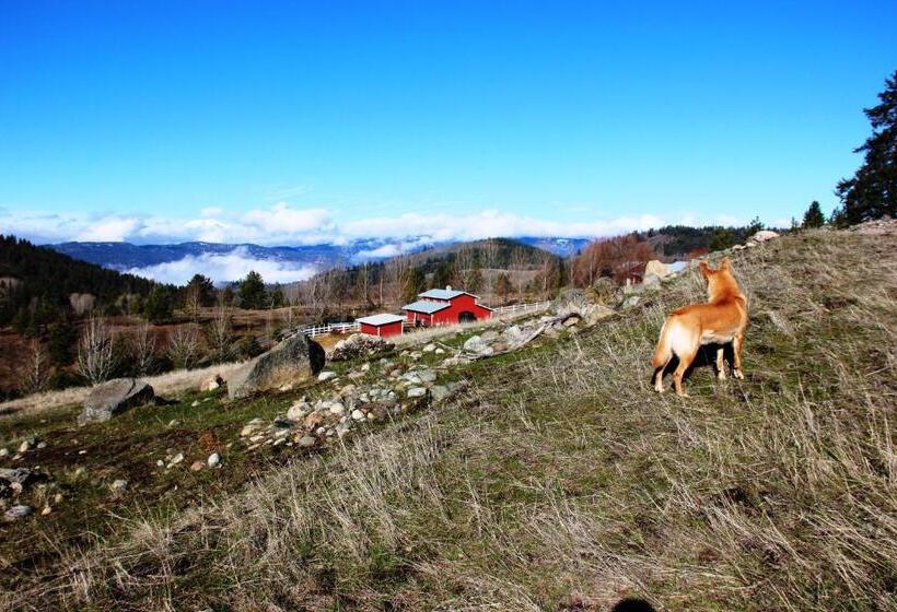 Panzió Pleasant Valley