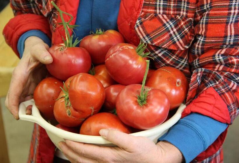 Panzió Pleasant Valley