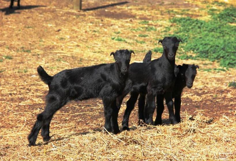 Panzió Pleasant Valley