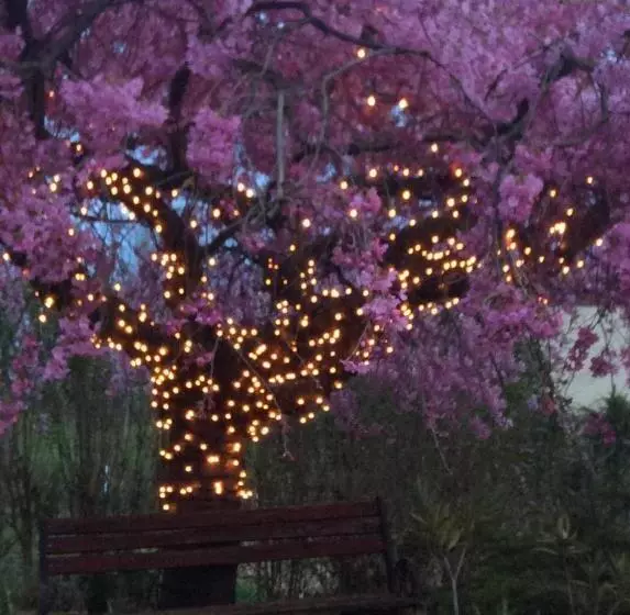 Majatalo Rosehill Cottage