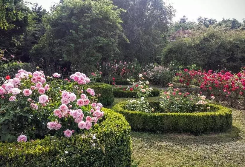 Majatalo Rosehill Cottage