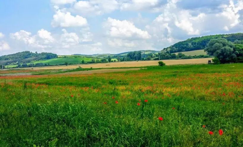 Majatalo Rosehill Cottage