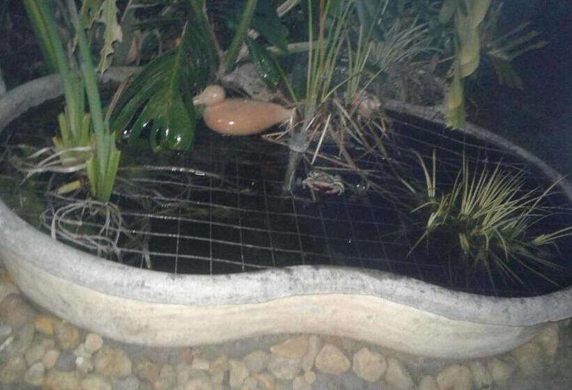 بنسيون Ville Agape