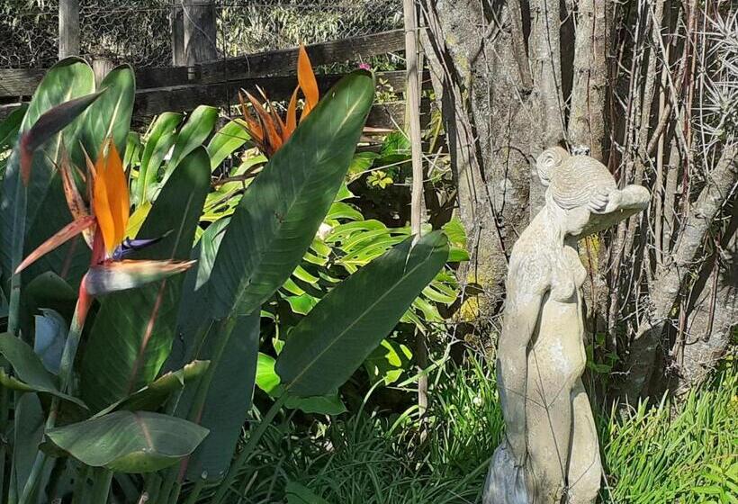 بنسيون Ville Agape